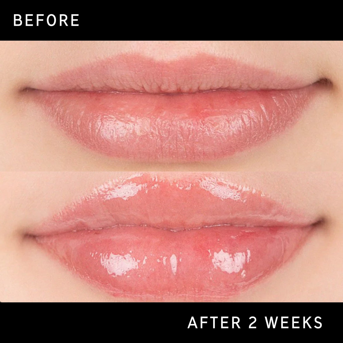 lip-plumping-duo-u3 DTC-Top15_Amends_Tripeptide-Lip_B_A.jpg